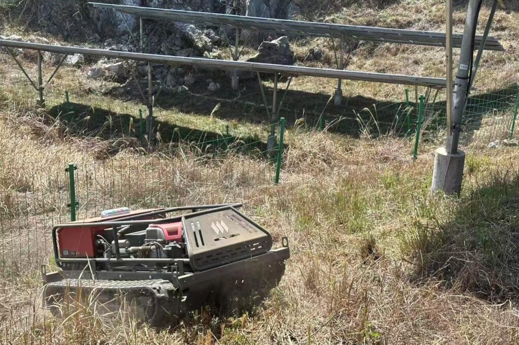 Smart Weeding Robots for Solar Farms
