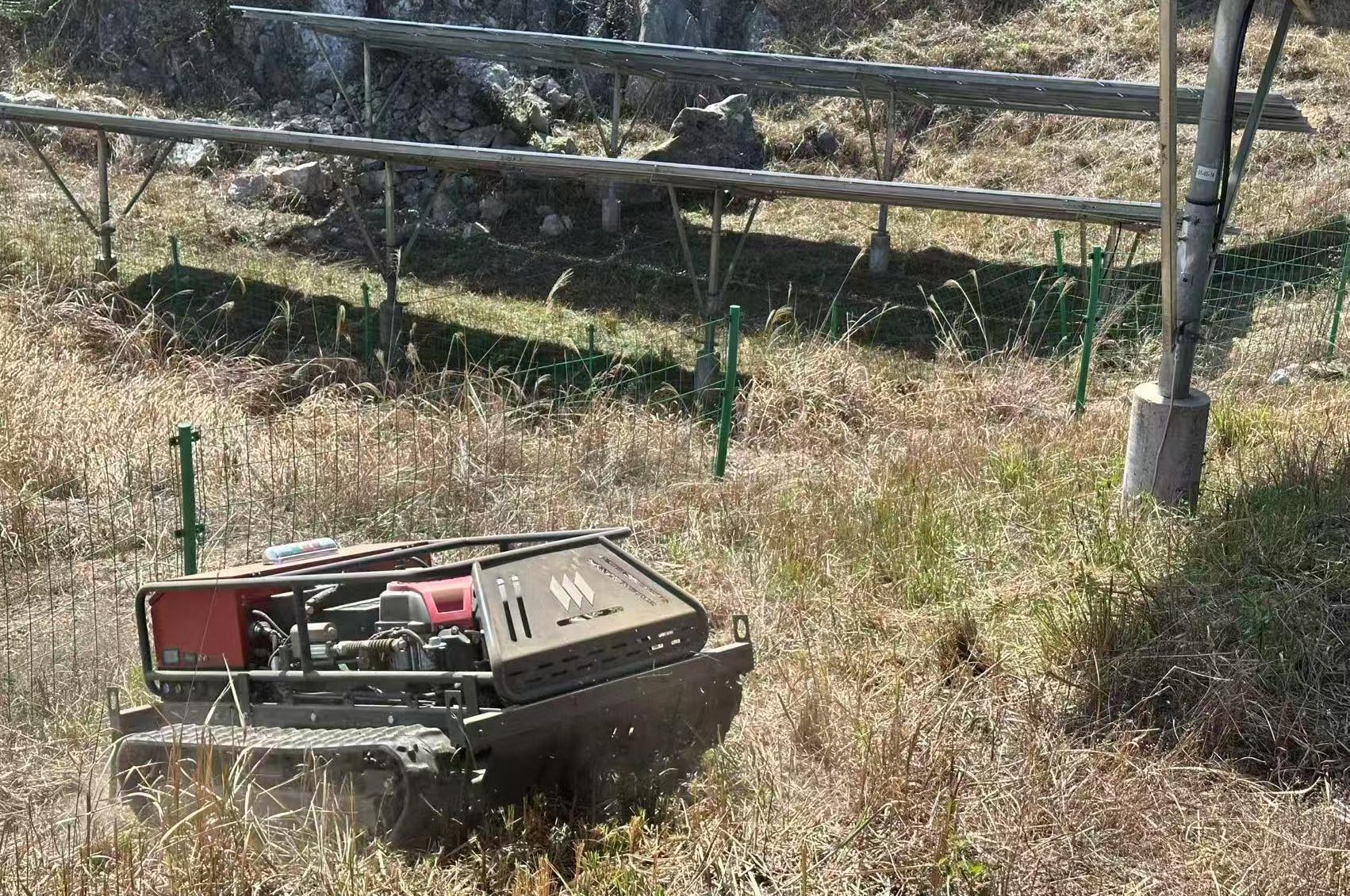 Smart Weeding Robots for Solar Farms