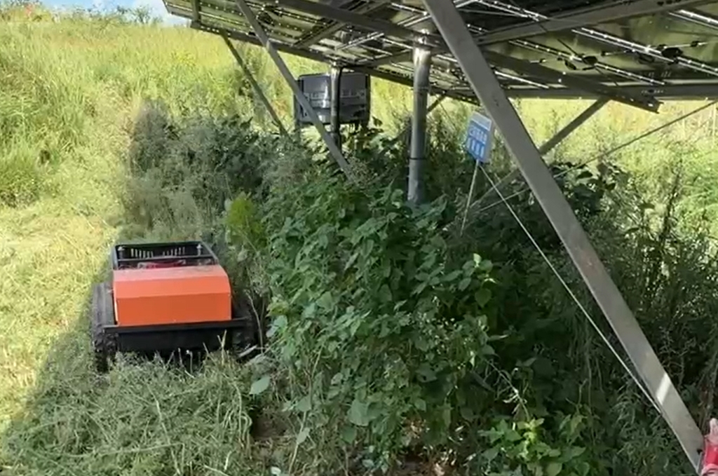 weeding robot for agrivoltaic solar farm